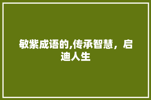 敏紫成语的,传承智慧，启迪人生 合同协议