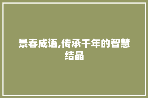 景春成语,传承千年的智慧结晶