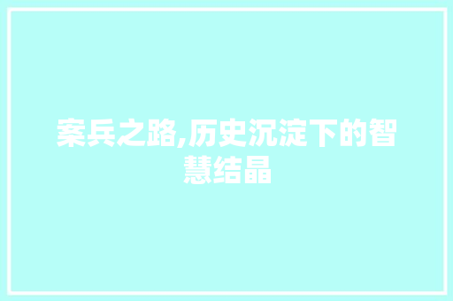 案兵之路,历史沉淀下的智慧结晶 商业计划书范文