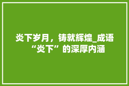 炎下岁月，铸就辉煌_成语“炎下”的深厚内涵 合同协议