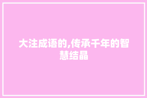 大注成语的,传承千年的智慧结晶 职场应用