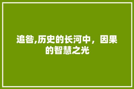 追咎,历史的长河中，因果的智慧之光 职场应用