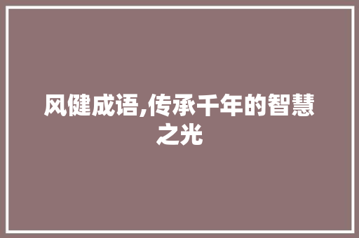 风健成语,传承千年的智慧之光