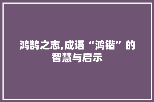 鸿鹄之志,成语“鸿锴”的智慧与启示