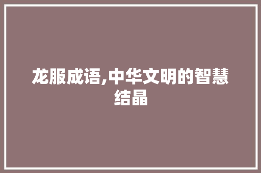龙服成语,中华文明的智慧结晶 范文参考