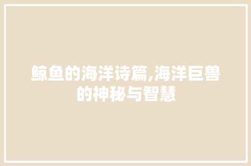 鲸鱼的海洋诗篇,海洋巨兽的神秘与智慧 职场应用