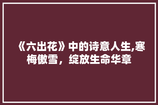 《六出花》中的诗意人生,寒梅傲雪，绽放生命华章