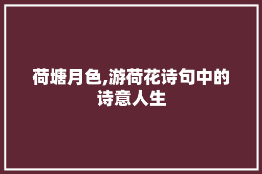 荷塘月色,游荷花诗句中的诗意人生