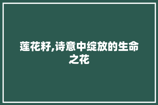 莲花籽,诗意中绽放的生命之花 范文精选网