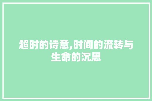 超时的诗意,时间的流转与生命的沉思