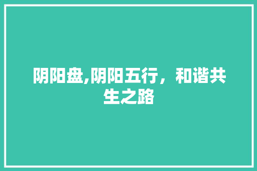 阴阳盘,阴阳五行，和谐共生之路 职场应用