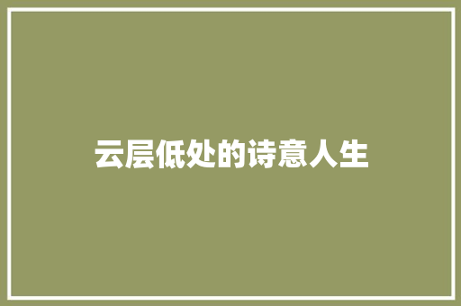 云层低处的诗意人生 范文宝典