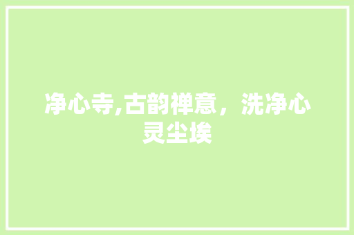净心寺,古韵禅意，洗净心灵尘埃