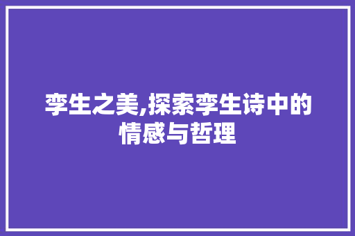 孪生之美,探索孪生诗中的情感与哲理