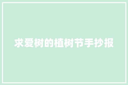 2025年西昌新小学有哪些学校