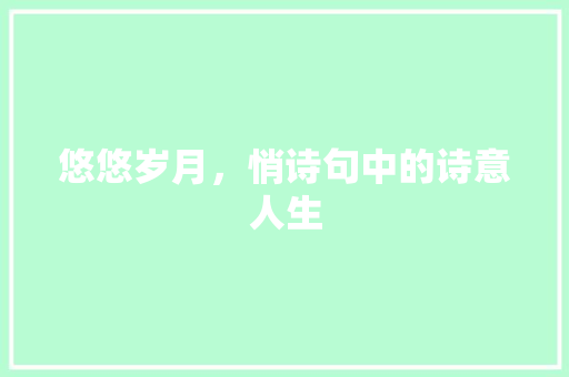 悠悠岁月，悄诗句中的诗意人生 范文参考