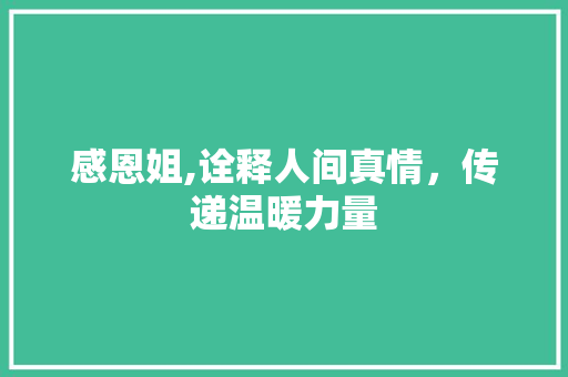 感恩姐,诠释人间真情，传递温暖力量 职场应用
