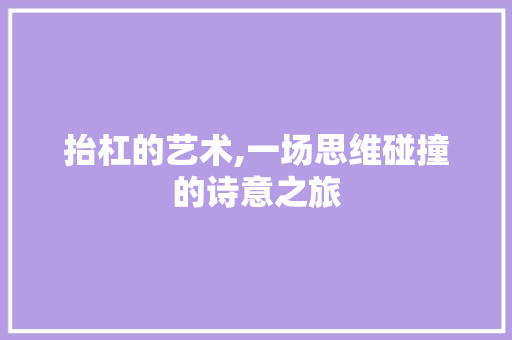 抬杠的艺术,一场思维碰撞的诗意之旅