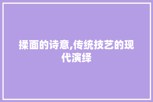 揉面的诗意,传统技艺的现代演绎 范文参考