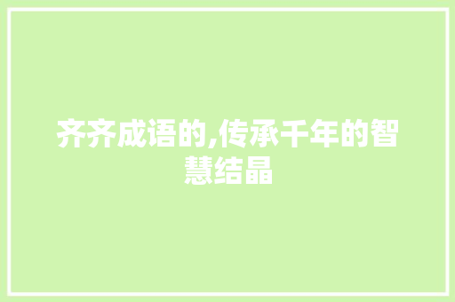 齐齐成语的,传承千年的智慧结晶