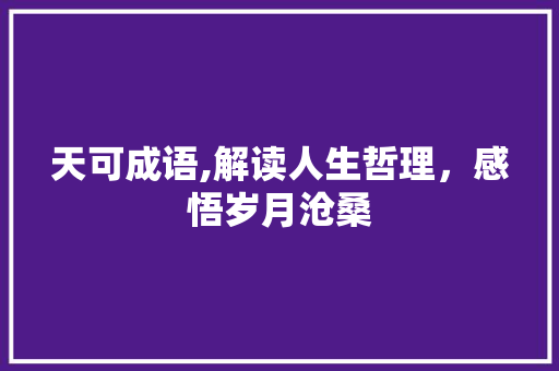天可成语,解读人生哲理，感悟岁月沧桑