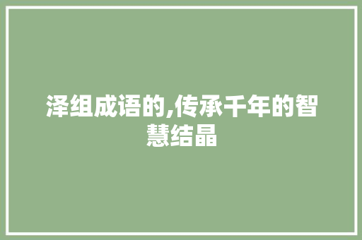泽组成语的,传承千年的智慧结晶
