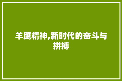 羊鹰精神,新时代的奋斗与拼搏
