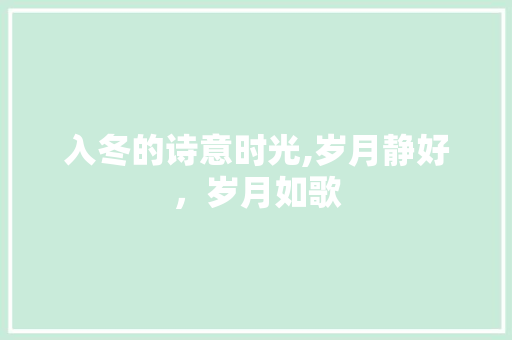 入冬的诗意时光,岁月静好，岁月如歌