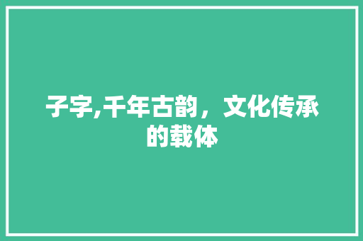 子字,千年古韵，文化传承的载体
