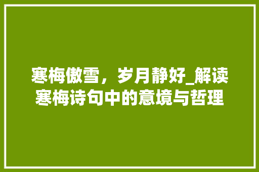 寒梅傲雪，岁月静好_解读寒梅诗句中的意境与哲理