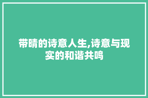 带晴的诗意人生,诗意与现实的和谐共鸣 商业计划书范文