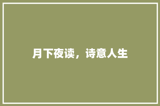 月下夜读，诗意人生