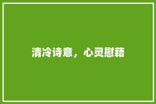 清冷诗意，心灵慰藉 范文精选网