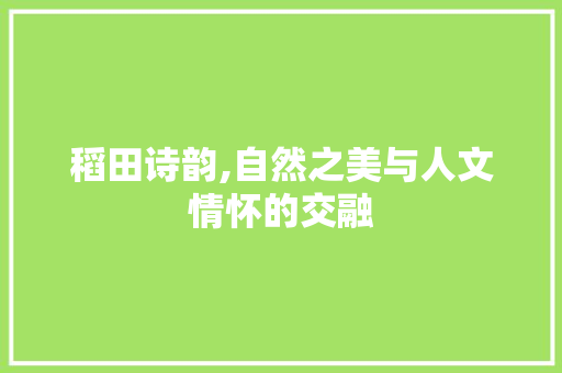 稻田诗韵,自然之美与人文情怀的交融