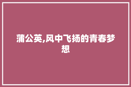 蒲公英,风中飞扬的青春梦想