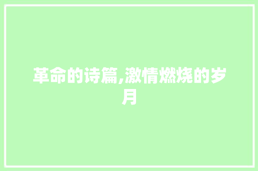 革命的诗篇,激情燃烧的岁月