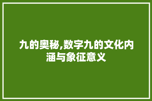九的奥秘,数字九的文化内涵与象征意义 职场应用