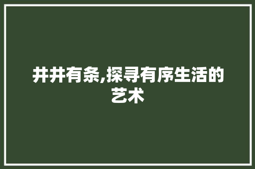 井井有条,探寻有序生活的艺术