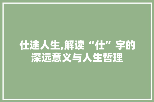 仕途人生,解读“仕”字的深远意义与人生哲理