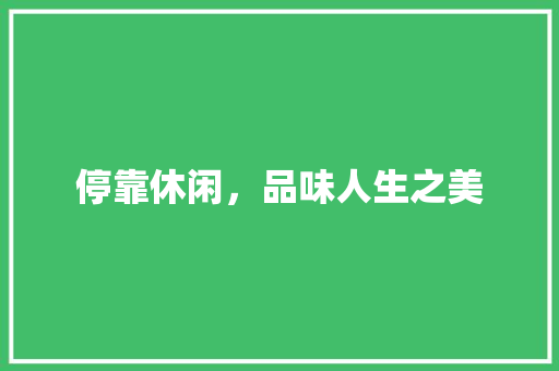 停靠休闲，品味人生之美 商业计划书范文