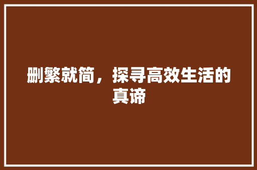 删繁就简，探寻高效生活的真谛 范文精选网