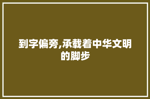 到字偏旁,承载着中华文明的脚步