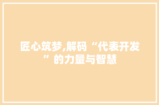 匠心筑梦,解码“代表开发”的力量与智慧