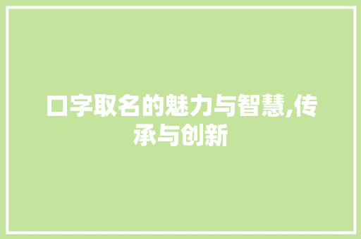 口字取名的魅力与智慧,传承与创新