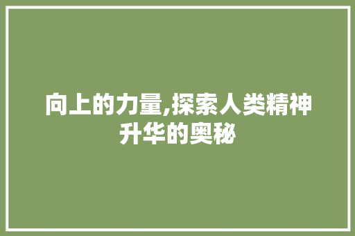 向上的力量,探索人类精神升华的奥秘 范文宝典