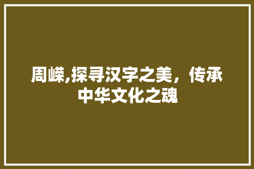 周嵘,探寻汉字之美，传承中华文化之魂