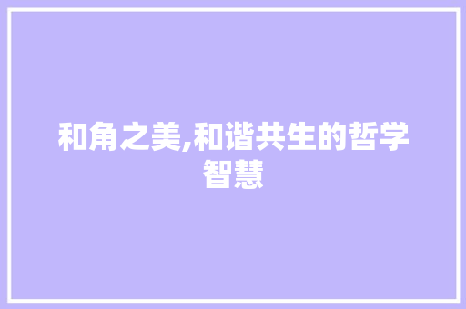 和角之美,和谐共生的哲学智慧