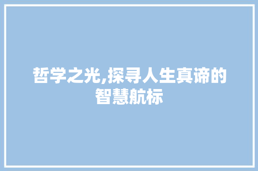 哲学之光,探寻人生真谛的智慧航标 商业计划书范文