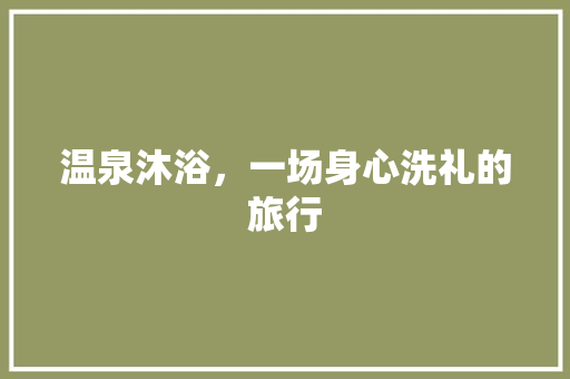 温泉沐浴，一场身心洗礼的旅行 商业计划书范文