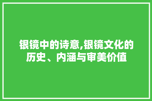 银镜中的诗意,银镜文化的历史、内涵与审美价值
